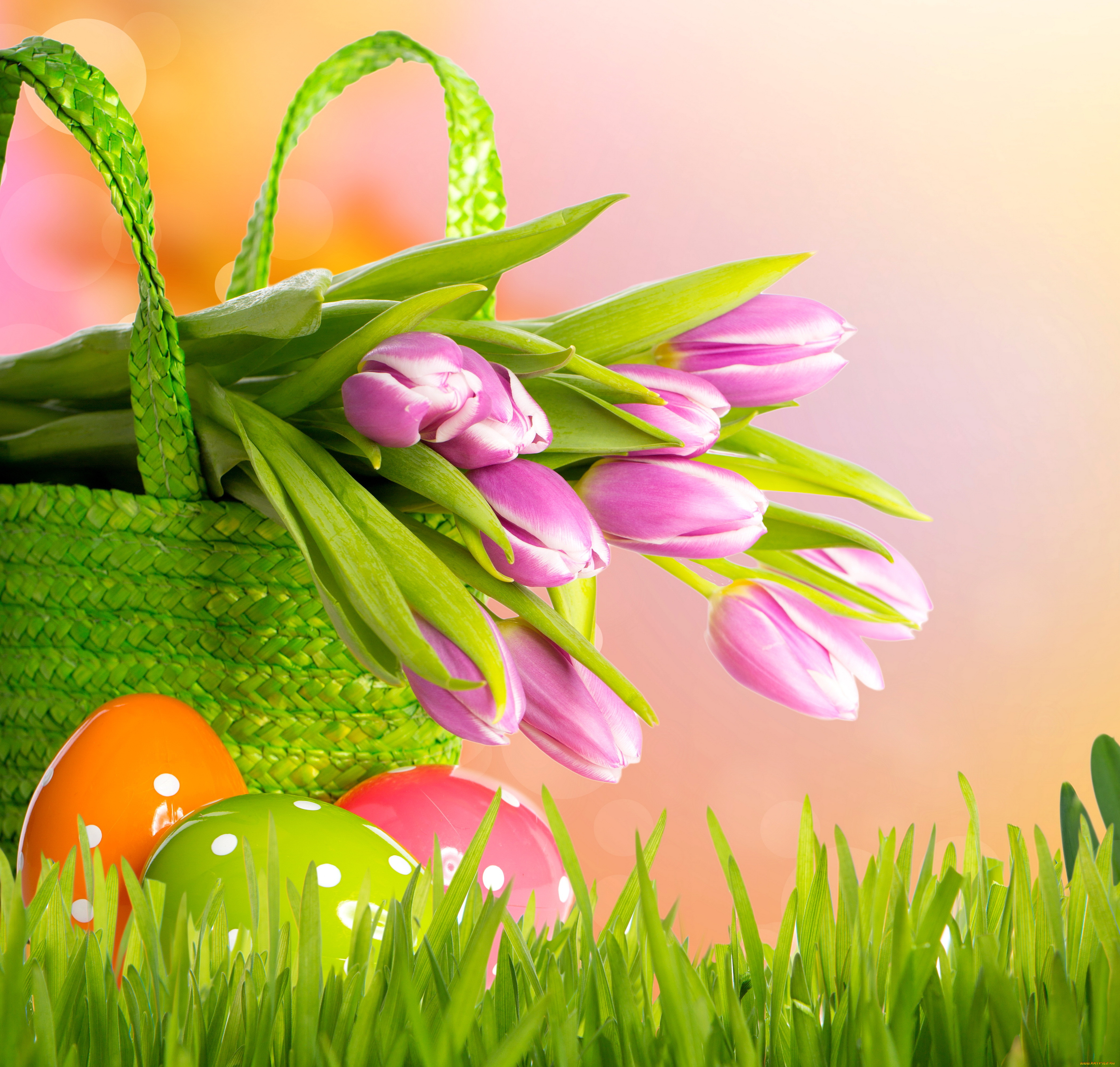 , , grass, eggs, basket, tulips, flowers, spring, easter